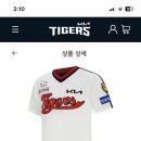 바비걸 이미지