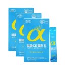 에버그린 이미지