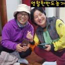 김순자농장 이미지