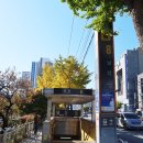 수영강 | [부산] 수영강 임석천누리길 트레킹후기---2025년 11월 15일(토)