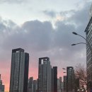 [강남 피부관리]압구정 올빛뷰티라운지 관리 후기