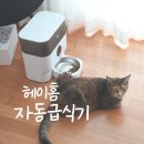 똑똑독 펫살롱 | 네이버 추석세일, 헤이홈 고양이 강아지 스마트 펫 자동급식기