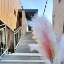 디자인헤어 - 동해시 전천로 274 | 디자인헤어