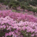 자연이 빚은 여행의 참멋, 양산 이미지