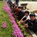 한국인터넷뉴스