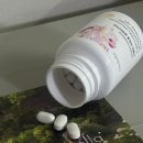 주식회사 수성코퍼레이션 | 뉴벨라 리포좀 글루타치온 추천 티아라 지연 미백템