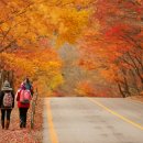 오성병원 이미지