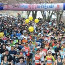 2024 대청호 벚꽃길 마라톤 대회 이미지