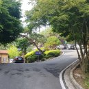 계명산자연휴양림 산막 이미지