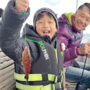 위미약국 | 제주 체험낚시 서귀포 배낚시 그랑블루호 주차장 및 아이랑 후기