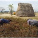 고창지역자활센터 고인돌청정두부 이미지
