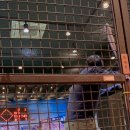 테크노 게임랜드 이미지