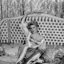 허리우드 이미지