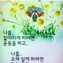 선진건설
