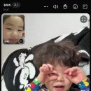 서호유치원 이미지