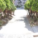 봉산부동산공인중개사사무소 이미지