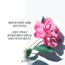 옥이상사