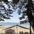 태안바다 | 태안 꾸지나무골 캠핑장 후기, 바다 바로 앞 A6 사이트 솔직 후기