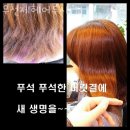 헤어루시 이미지