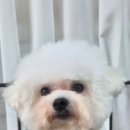 뚜뚜네 미용실 이미지