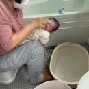 친정맘산후관리 - 제주시 동광로16길 13 | 남양주 산후도우미 업체 친정맘 찐이용후기, 업체 검색 및 예약 팁