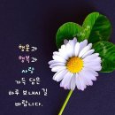 오성집수리 이미지