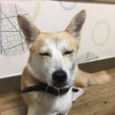 살랑살랑 이미지