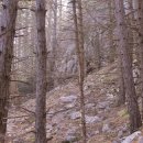 원리가 보이는 과학실험 이미지