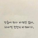소라네건어물