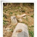 석장 | 기예(技藝)에 통달한 양지(良志) 스님이 주석(駐錫)한 석장사지(錫杖寺址)