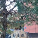 카페인하원 이미지