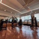 트래몬트짐 PT 이미지