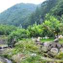 별이 쏟아지는 민박 이미지