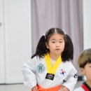 코리아탑태권도장 이미지