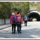 장원남산길 이미지