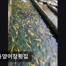 옥동양어장 횟집 이미지