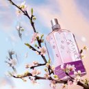 플럼블라썸(Plum Blossom) 이미지