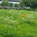 백일홍어린이공원 이미지