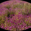 송이테마공원 주차장 이미지