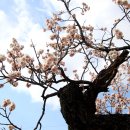 사람냄새 이미지