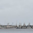 구룡포시장 이미지