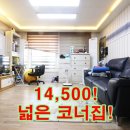 본원초 이미지