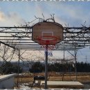 캐러가까 이미지