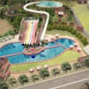 도그도기 이미지