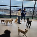 베러멍(Better멍) 이미지