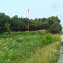 수원-1743 이미지