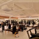 머슬 타임 이미지