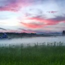 여명목장 이미지