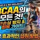 모두동 | 보충제 20년 차 체육쌤이 정리한 BCAA의 효과 및 섭취 전략!!