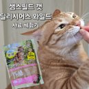 해피캣 | 금동이 사료 체험기｜샘스필드 캣 딜리시어스 와일드 400g 솔직후기